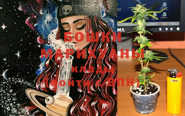 спайс Аркадак