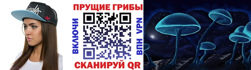 Галлюциногенные грибы Cubensis  наркотики  Нижние Серги 